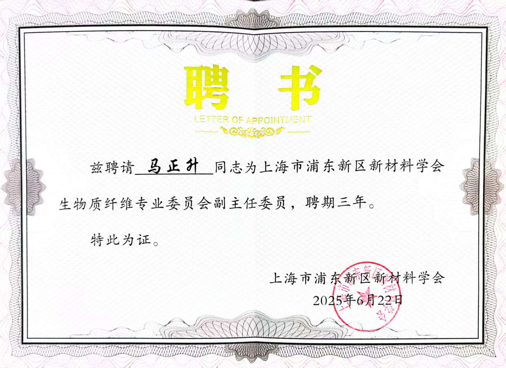 Deputy Director of the Biomass Fiber Professional Committee of the New Materials Society of Pudong New Area, Shanghai