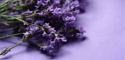 芳香微膠囊整理劑JYK Nano-PF