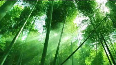 負(fù)離子整理劑JYK AI-350